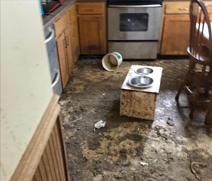 A kitchen with flooring covered in sewage and debris