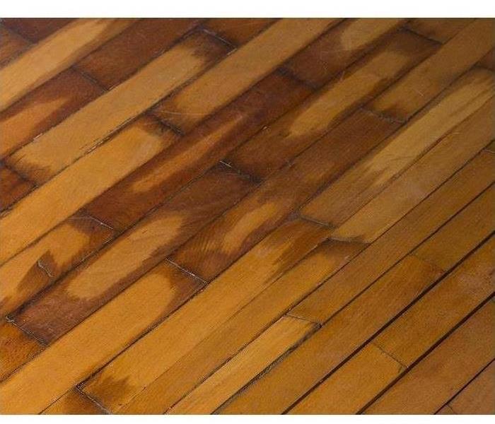 wet, dark brown wood flooring